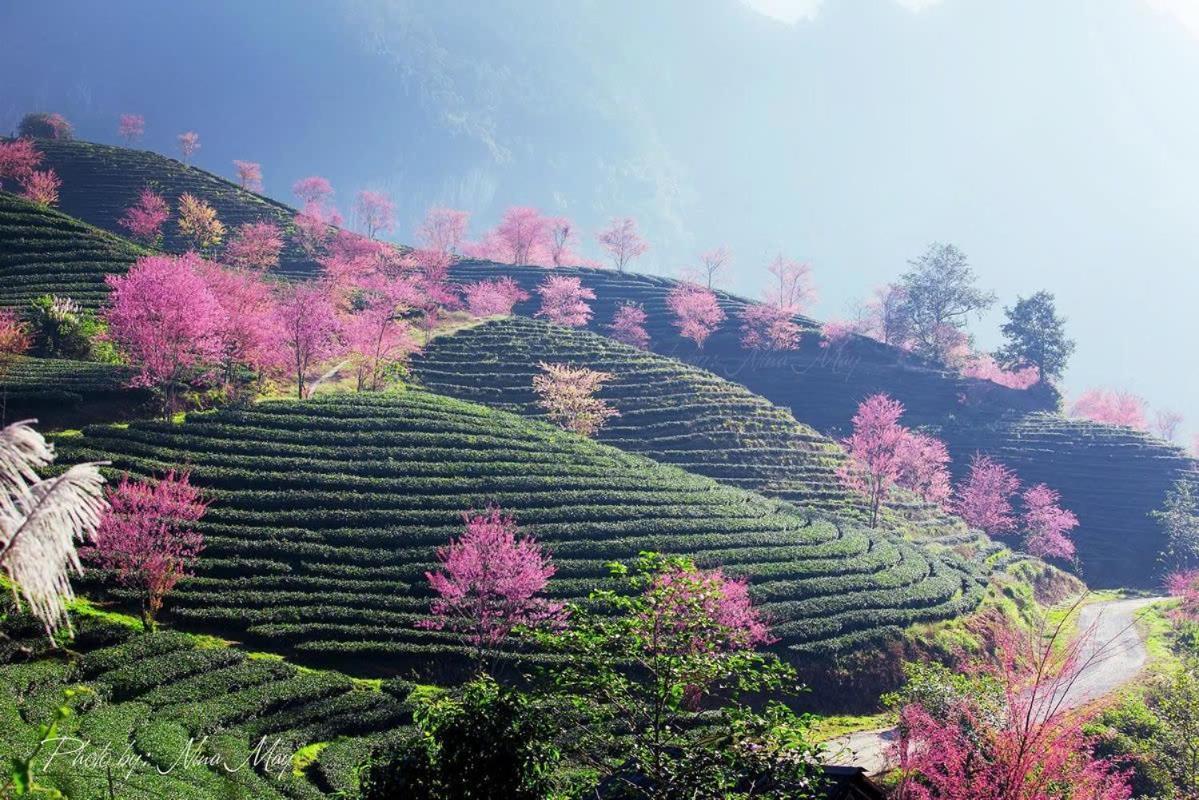 Ha Giang Hotel Sapa エクステリア 写真