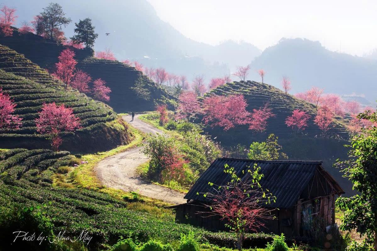 Ha Giang Hotel Sapa エクステリア 写真