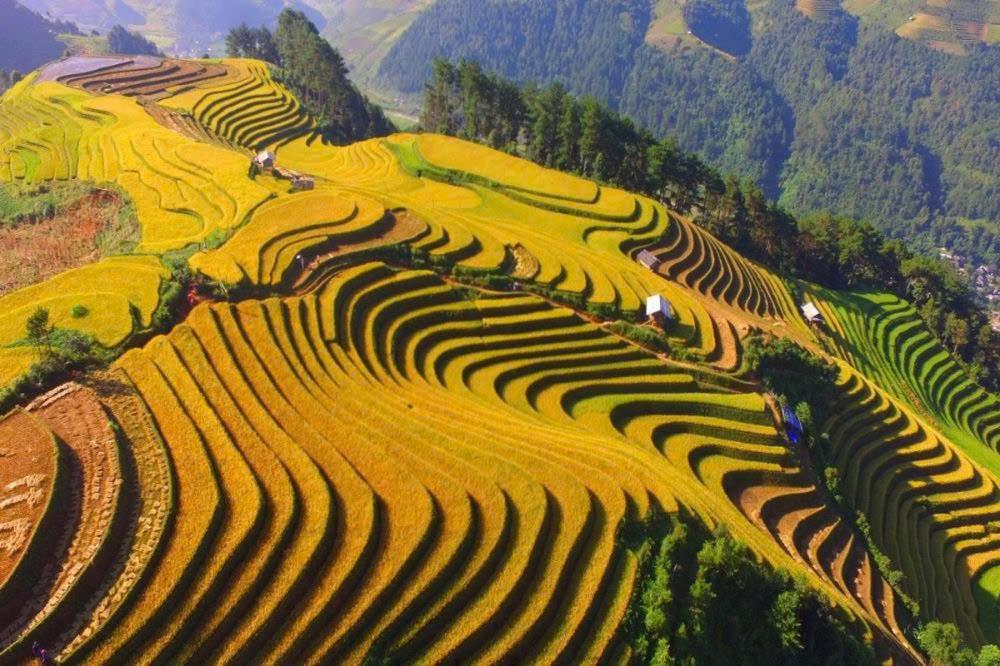Ha Giang Hotel Sapa エクステリア 写真